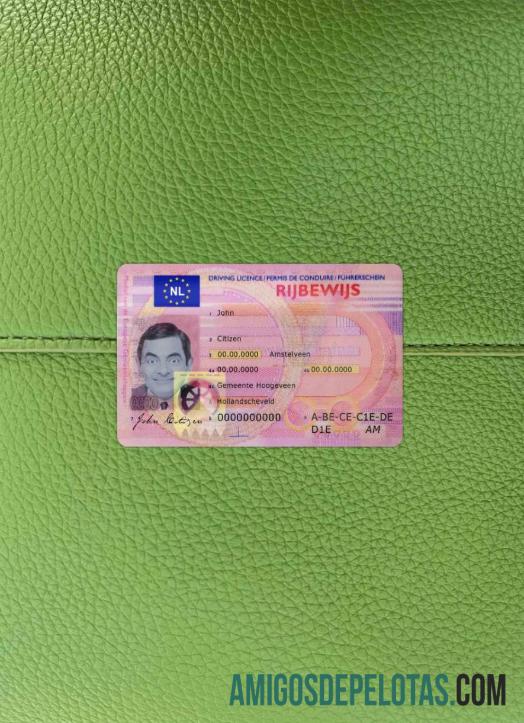 Carta de condução holandesa fotolook frente exemplo real